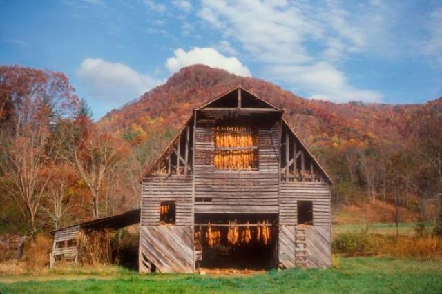 tobacco barn kings mountain Thank You For Not Smoking