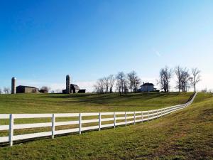 farm-white-board-fence-26312246
