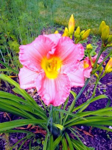 IMG_20200627_143046243